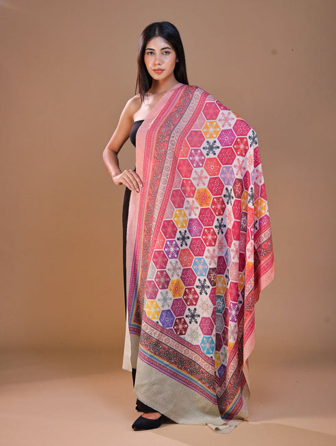 Women's Kalamkari Printed Outlined Wool Shawl